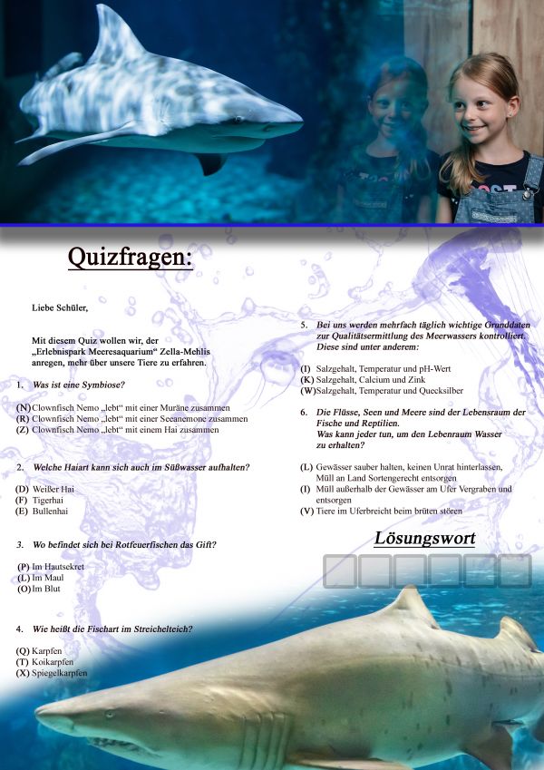 Unser Quiz